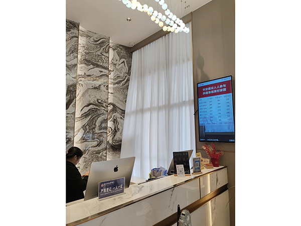 杉丽酒店大堂蛇形帘